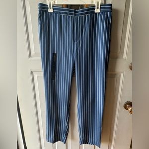 Banana Republic Hayden Striped Prussian Blue Pants NWT